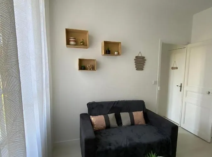 شقة Grand Deux Pieces Au Pied Du Parc Du Chateau