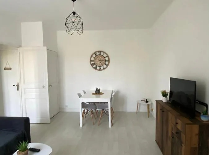 شقة Grand Deux Pieces Au Pied Du Parc Du Chateau